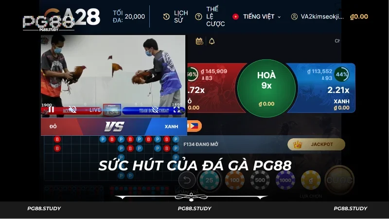 Nền tảng đá gà của PG88 được bảo vệ tốt 